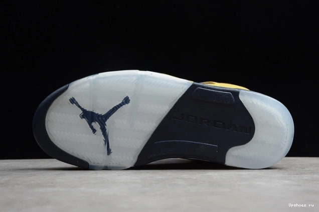 5 CQ9541-704 'Michigan' Air Jordan 0731